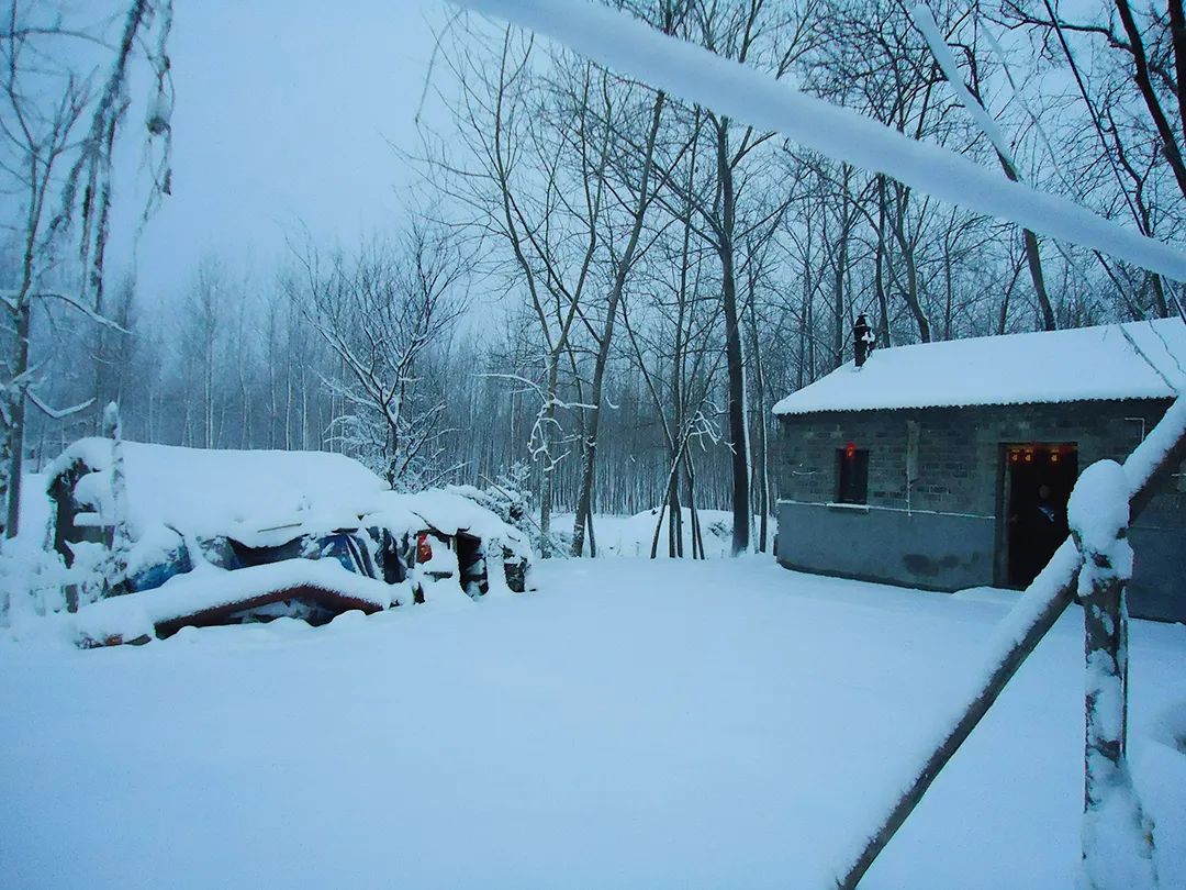 立冬養(yǎng)生，男人關(guān)鍵在養(yǎng)腎！