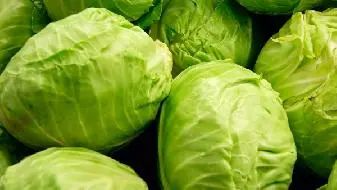 男性如何養(yǎng)生？男性冬至養(yǎng)生要節(jié)欲保精