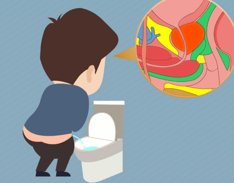 39ed5c1374f53222.png 圖片